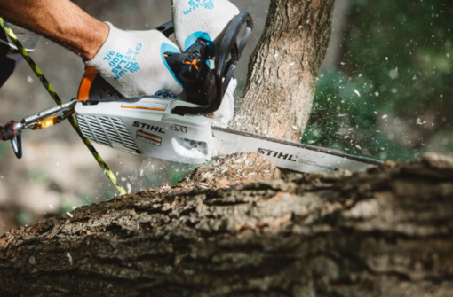 Stihl Ms 194-T (Motosierra) - Image 3